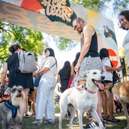 Llega el festival “más peludo y divertido” para las mascotas y sus humanos