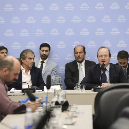 Tras la salida de Espert, Benegas Lynch asumió en la comisión de Presupuesto y Energía