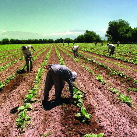 UATRE alerta sobre un cambio que podría afectar a miles de trabajadores