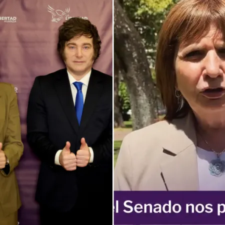 Neuquén: la foto de Milei, el video de Bullrich y el temor por Carlos Eguía