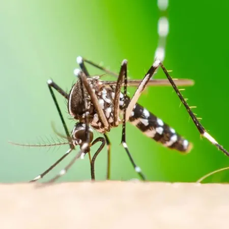 Sin medicamentos ni respuestas: el virus que desafía a La Habana