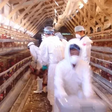 Europa en alerta por el avance temprano de la gripe aviar