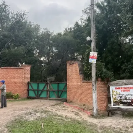 Impulsan la expropiación de la chanchería donde habrían incinerado el cuerpo de Cecilia Strzyzowski