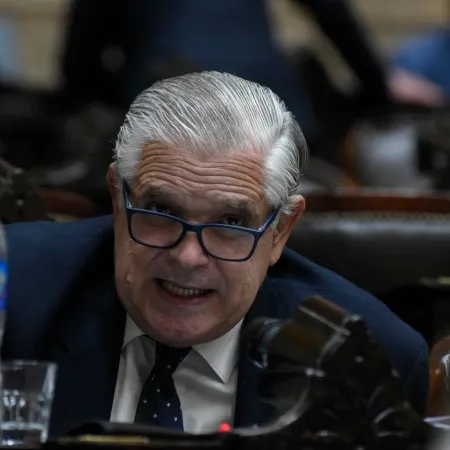 Asignación Universal por Discapacidad: el ambicioso plan de López Murphy