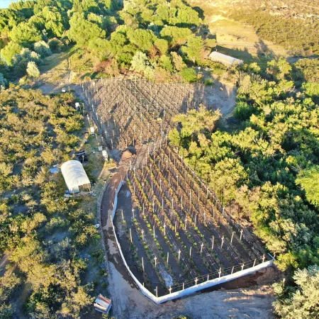 Traían droga desde Rosario y la distribuían en Río Negro: trece allanamientos y diez detenidos