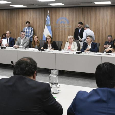 Fentanilo contaminado: qué dijeron los laboratorios en Diputados
