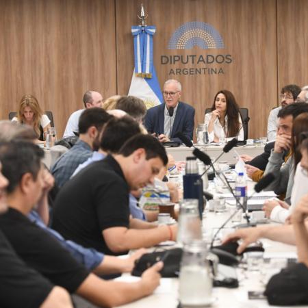 ¿Privatización o proteccionismo para la energía nuclear?