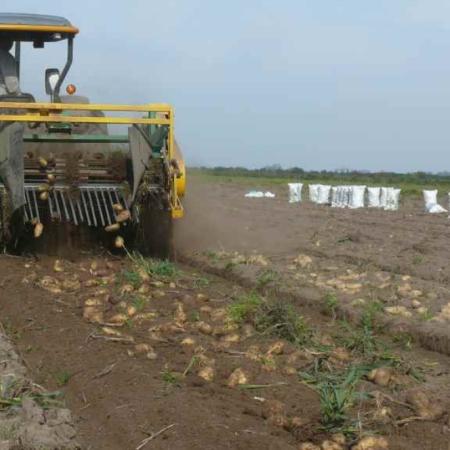 Los productores paperos del sudeste de Buenos Aires rechazaron el proyecto de suelos de CIAFBA
