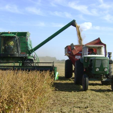 Según la FAUBA, certificar soja sin deforestación costará entre 1,28 y 4,20 dólares por tonelada