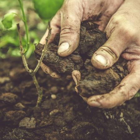 Polémica entre CIAFBA y el campo por un proyecto de ley sobre el cuidado del suelo en Buenos Aires 