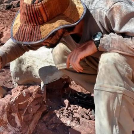 La Rioja: científicos del CONICET hallan los restos fósiles más antiguos del mundo