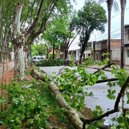 Las tormentas severas golpearon fuerte en Buenos Aires, Córdoba y Santa Fe