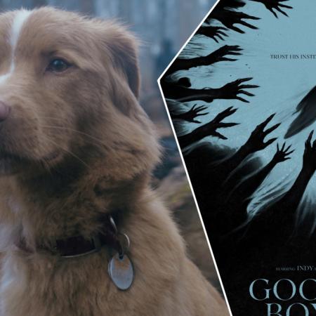 ¿Se vienen los Oscar para los animales? El pedido que surgió desde Good Boy