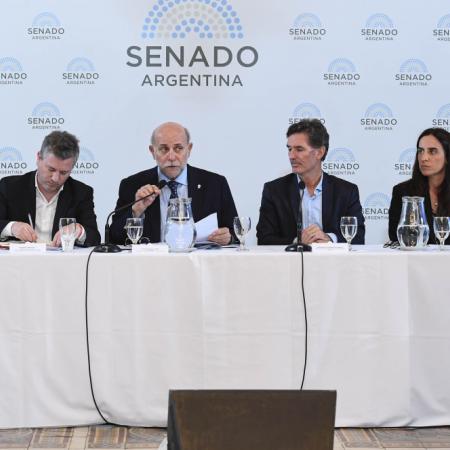Biocombustibles: los proyectos de las senadoras Vigo y Ávila reactivan la discusión en el Congreso
