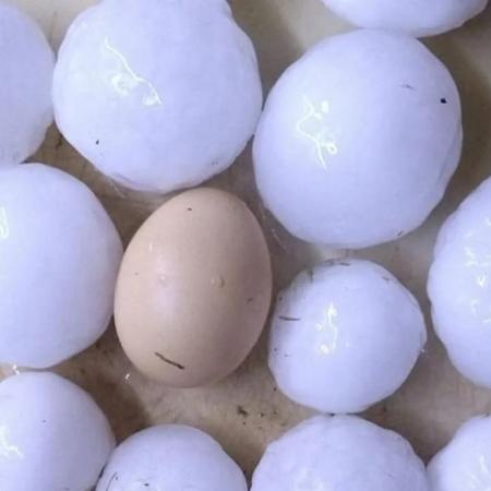 Tormenta y granizo del tamaño de huevos sorprendieron a los vecinos del sur de Córdoba