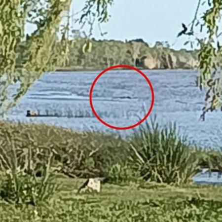 Hallaron sin vida al joven que había ingresado al río en Berisso