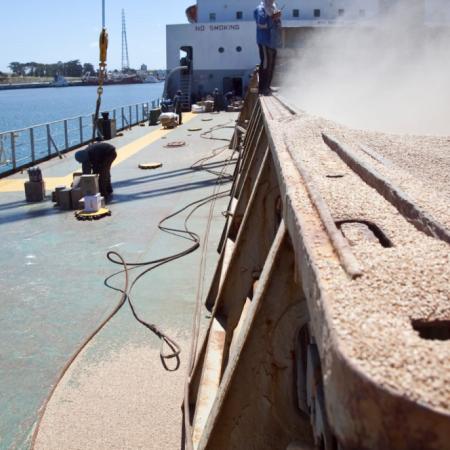 En agosto aumentó la molienda de soja y la industria aceitera recupera ritmo