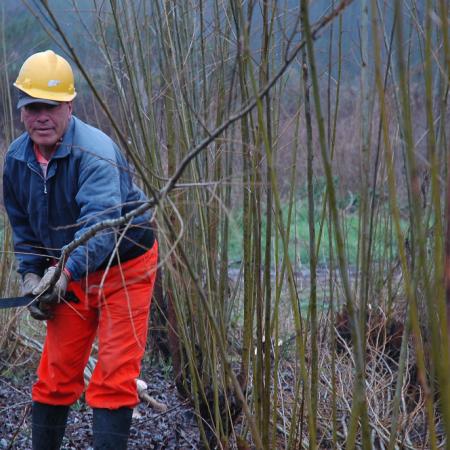 La FAO distinguió a la Asociación Forestal Argentina por buenas prácticas laborales