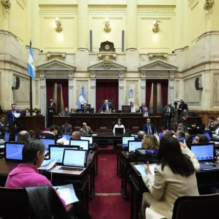 El Senado se prepara para revertir los vetos al Garrahan y a universidades