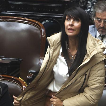 Villaverde amenazó a Wiñazki y Manes pidió su expulsión del Congreso