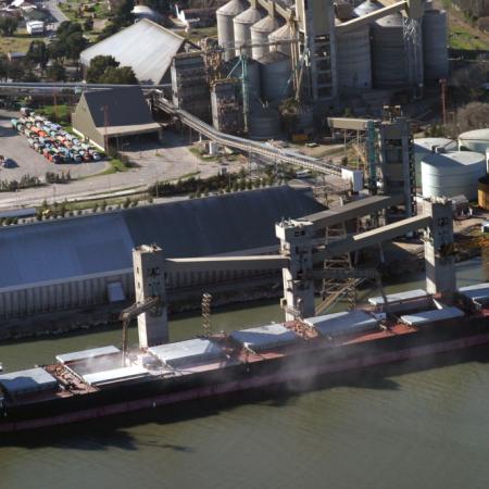 Tras las "retenciones cero", en octubre se derrumbó el ingreso de divisas y se liquidaron USD 1.117 millones