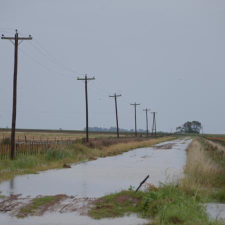 La semana del agro: entre las inundaciones en Buenos Aires, la paritaria aceitera y el trigo récord