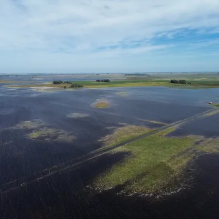 Legislatura bonaerense: luz verde al tratamiento de proyectos para aliviar a productores inundados 