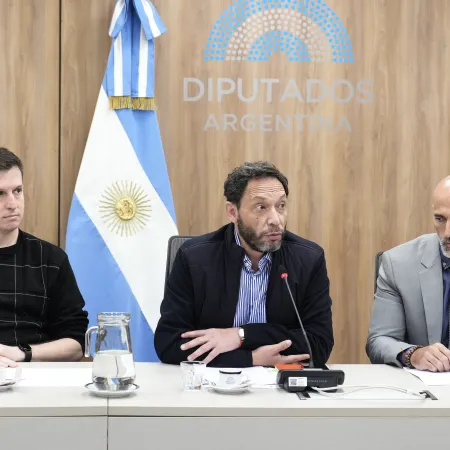 $LIBRA: el 18 de noviembre presentarán el informe final y se librará un oficio a Google