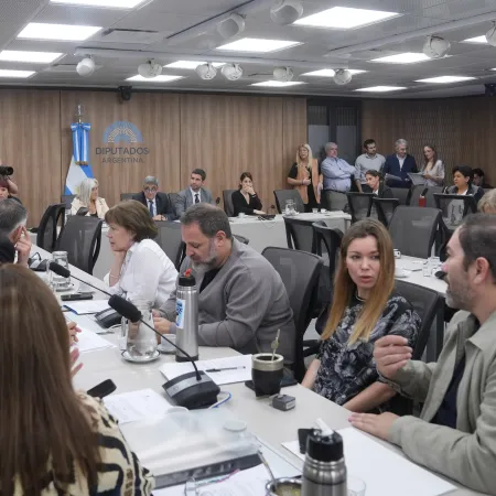 Diputados avanzan con proyectos sanitarios y ponen foco en la detección neonatal