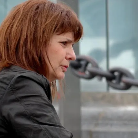 Los 12 años de Bullrich en el Congreso: del triunfo histórico del PJ al olvidado GAPU