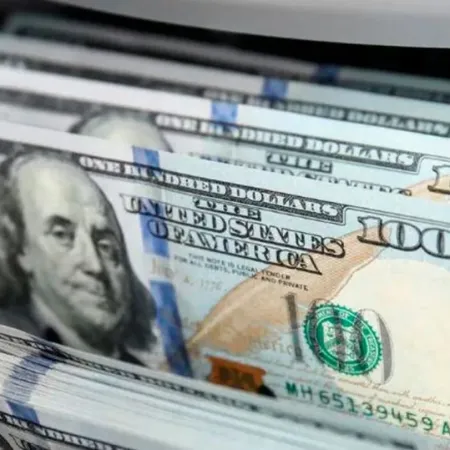 Dólar hoy: ¿el Tesoro compró reservas?