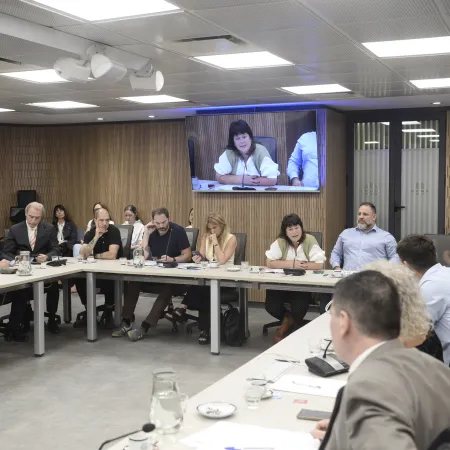 El debate sobre cannabis medicinal que podría cambiar la salud en Argentina