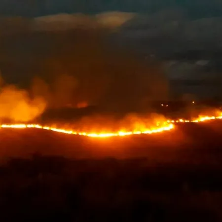 Neuquén oficializó sanciones extremas por incendios forestales: ¿de qué dependerá?