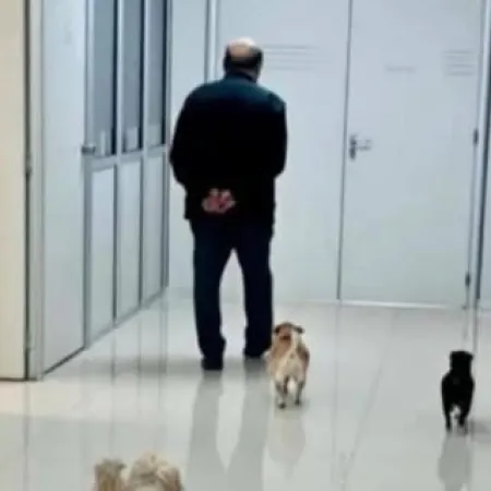 La foto viral de Juan José Mussi: el 'lado B' perruno con una poesía incluida