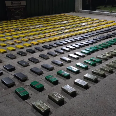 Un operativo en la oscuridad del monte: Gendarmería decomisó 431 kilos de cocaína en Aguas Blancas