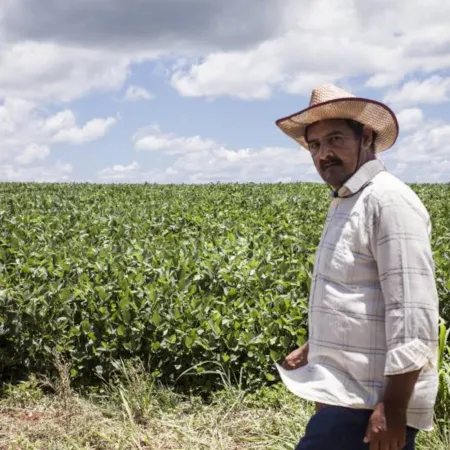 La sorprendente expansión de distritos en Paraguay que ocultan redes criminales