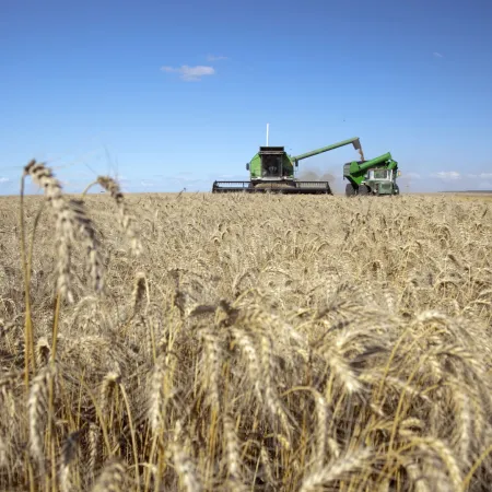 Con una súper cosecha récord, las exportaciones trigueras llegarán a USD 3.572 millones