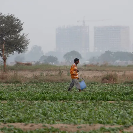 La COP28 y la COP30: ¿un nuevo camino para la agricultura?