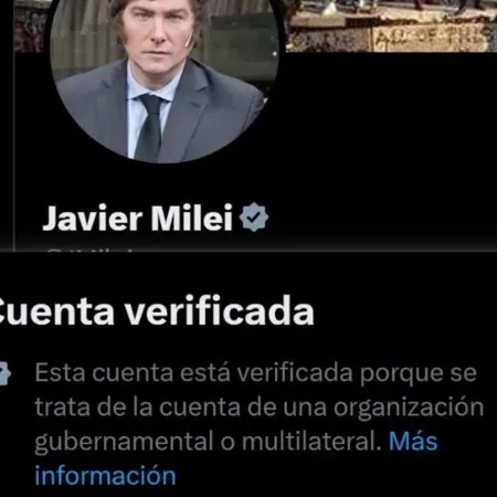 Javier Milei y el misterio de los bots extranjeros en sus redes