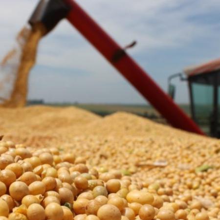 Soja: las exportaciones de la campaña 2024/25 fueron las más altas en diez años