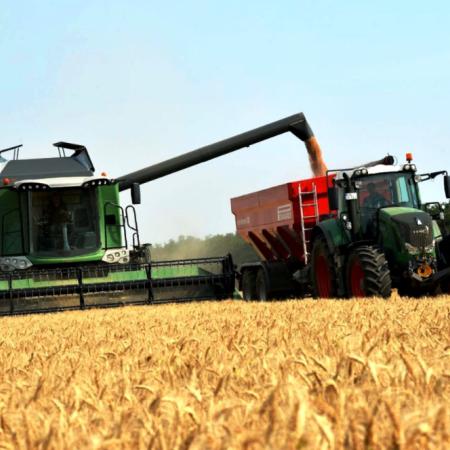 El trigo rompe su propio récord y la BCR anticipó una cosecha de 24,5 millones de toneladas