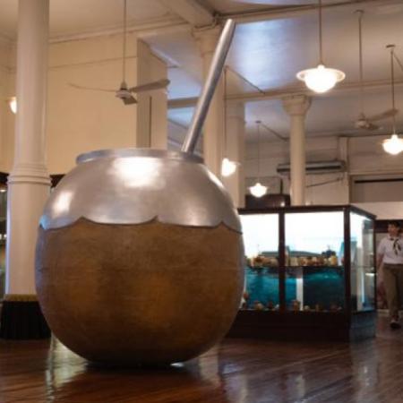 Descubrí el ritual matero: actividades imperdibles para celebrar el Día del Mate