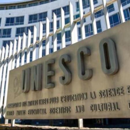 Día de la UNESCO: ¿qué desafíos enfrenta la educación y la ciencia en Argentina?