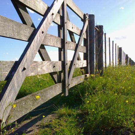 Inmobiliario Rural: desde ARBA responden al campo y afirman que la prórroga de la ley los obliga al cobro