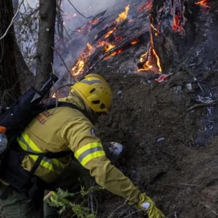 Incendios en el cerro Otto: presentan denuncia y vecinos aseguran que fueron intencionales