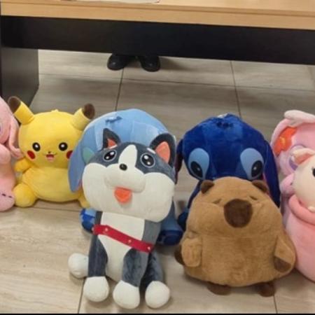Peluches con cocaína: detienen a una pasajera en Tucumán tras el hallazgo de más de dos kilos de droga