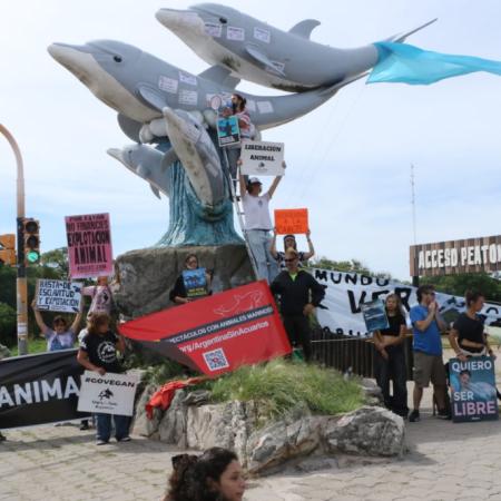 Manifestación frente al Aquarium de Mar del Plata por los animales que permanecen en cautiverio
