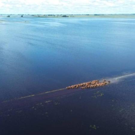 Se agrava el desastre en el campo bonaerense: Ya son 5 millones las hectáreas afectadas por lluvias 