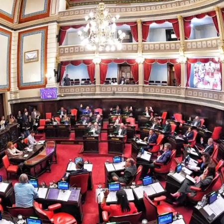 Cuenta regresiva en el Senado bonaerense: qué pasa si caen los proyectos de salud