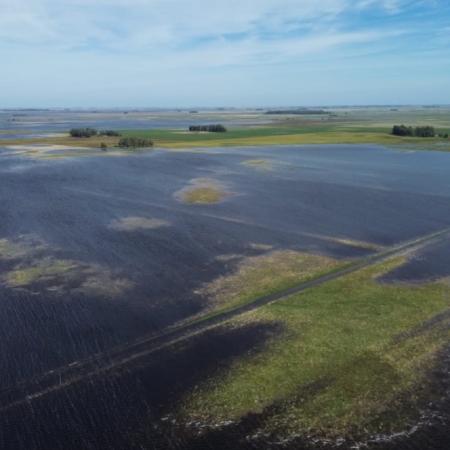 Emergencia agropecuaria: la provincia de Buenos Aires prorroga medidas en seis distritos
